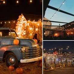 15-Light Outdoor/Indoor 48 ft. Plug-in Globe Bulb LED String Lights with S14 Single Filament Bulbs by Cedar Hill 14 15-Light Outdoor/Indoor 48 ft. Plug-in Globe Bulb LED String Lights with S14 Single Filament Bulbs by Cedar Hill -Bella Depot || ULTRALAST GREEN Sales black light string cedar hill string lights 108102 fa 1000