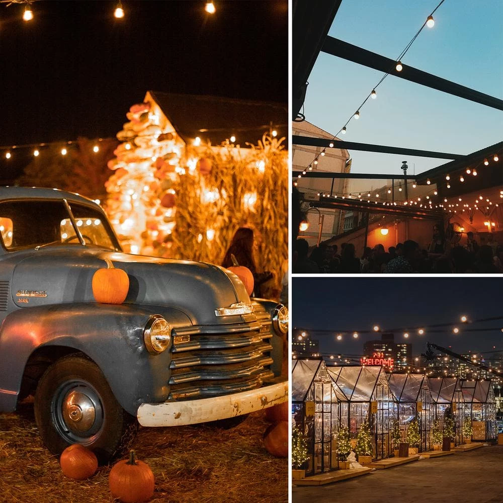 15-Light Outdoor/Indoor 48 ft. Plug-in Globe Bulb LED String Lights with S14 Single Filament Bulbs by Cedar Hill 7 15-Light Outdoor/Indoor 48 ft. Plug-in Globe Bulb LED String Lights with S14 Single Filament Bulbs by Cedar Hill - Image 6