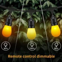 15-Light Outdoor/Indoor 48 ft. Plug-in Globe Bulb Flickering Flame String Light with Remote Decorative Lights by Cedar Hill -Bella Depot || ULTRALAST GREEN Sales black string light cedar hill string lights 108302 fa 1000